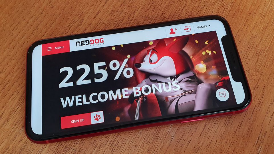 Is Red Dog Casino App Legit? - Fliptroniks