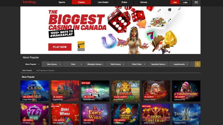 Best Mobile Casino Apps for Canadians